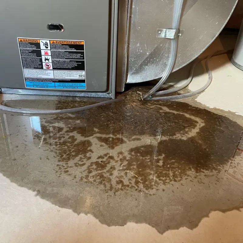 Appliance Leak Cleanup in Bracken County, KY