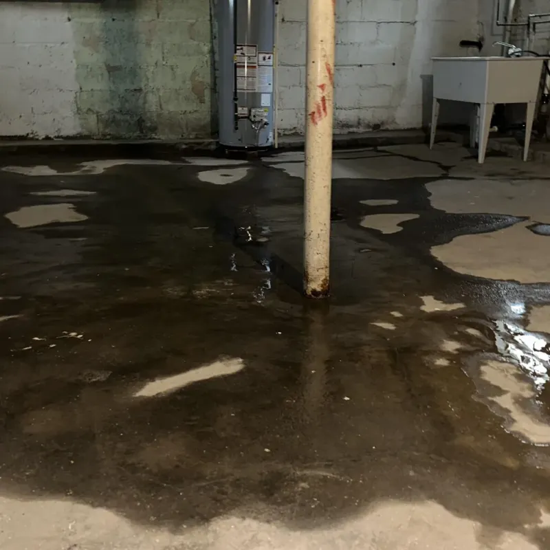 Emergency Water Extraction And Removal in Bracken County, KY